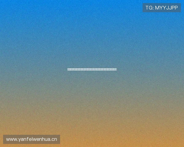 大鲨鱼网络科技有限公司推动创新科技发展，引领行业数字化转型新趋势